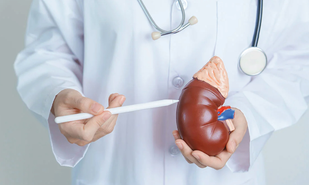 Signs-You-Need-Nephrology-Billing-Services