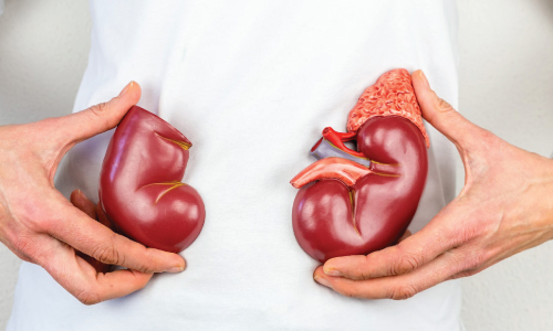 Effective-Pulmonology-Medical-Billing-Solutions