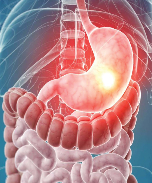 Get-Partner-With-Our-Customized-Gastroenterology-Medical-Billing-Services