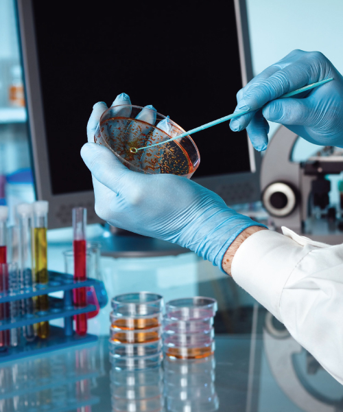 Why-Outsource-Pathology-Billing-Services-To-Neomedicalbilling